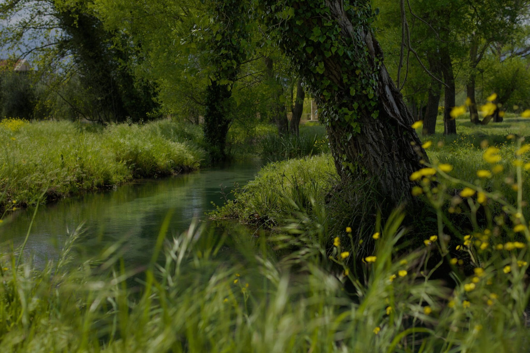 Kreta Wanderreise Wandern Kreta