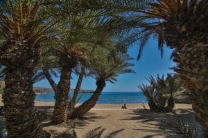 Vai Strand Kreta Wandern Vai Beach