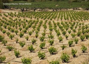 Wandern Region Korinth auf Peloponnes in Griechenland